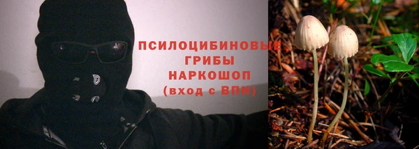 COCAINE Белокуриха